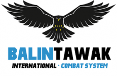 Logo of Balintawak Italia e-learning